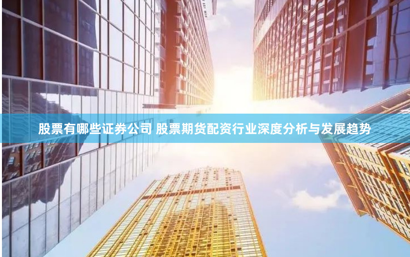 股票有哪些证券公司 股票期货配资行业深度分析与发展趋势